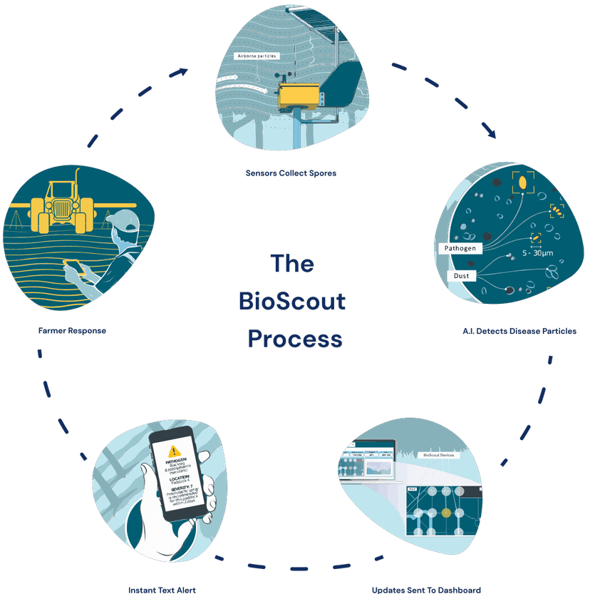 BioScout